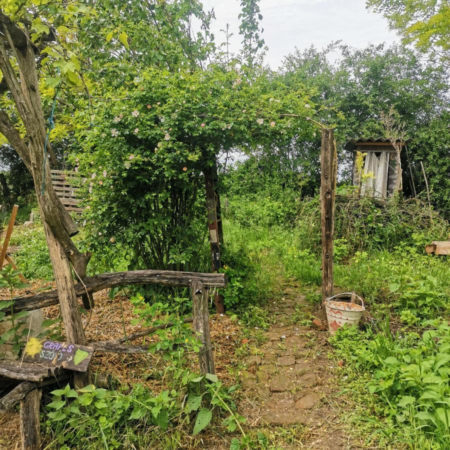 Kaposhomok Forest View Studio 아파트 외부 사진