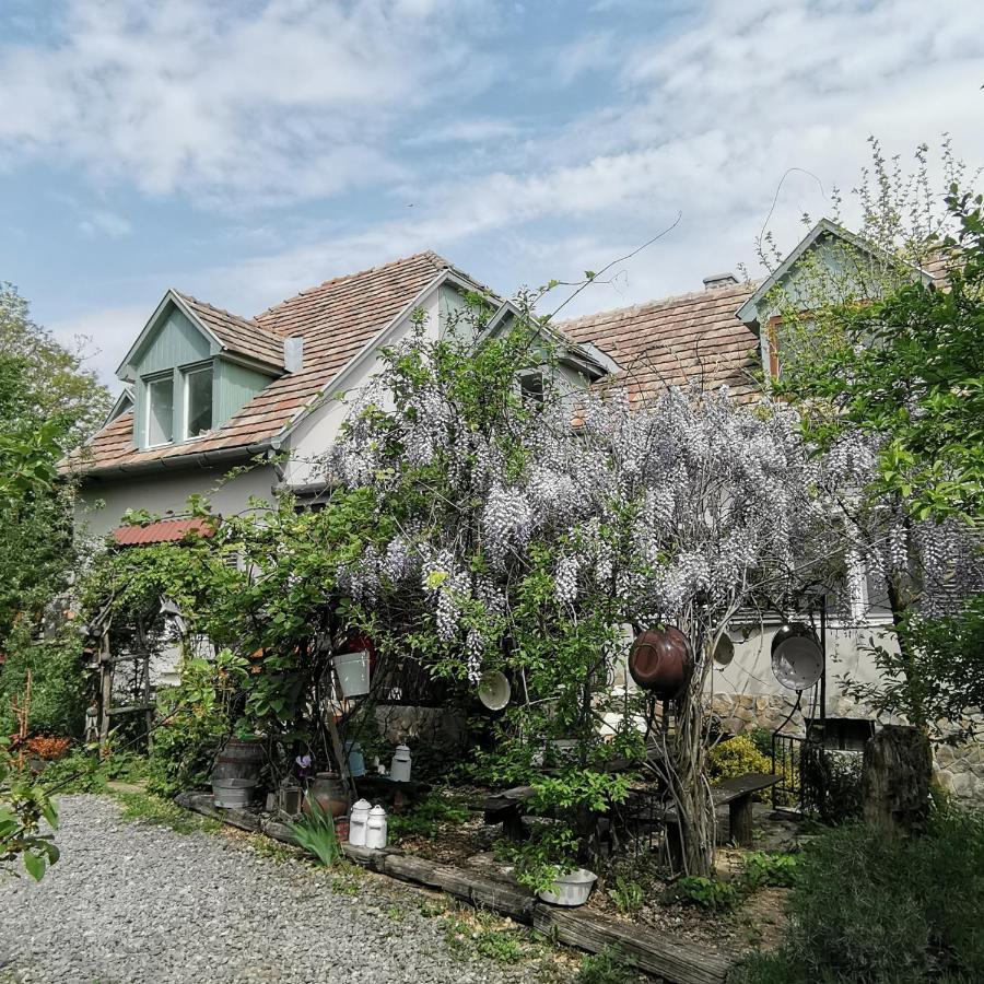 Kaposhomok Forest View Studio 아파트 외부 사진